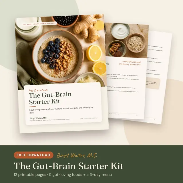 Cover of The Gut-Brain Starter Kit, a free printable guide by Birgit Waites, M.S.